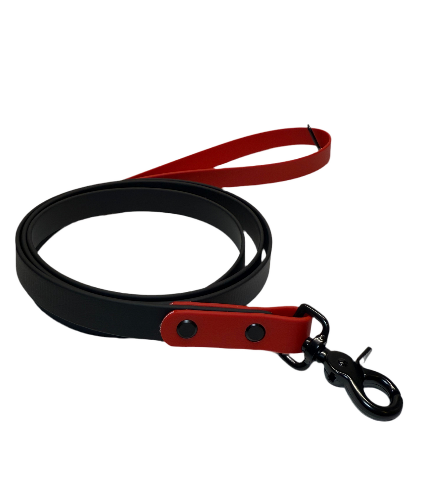 Two Tone Leash