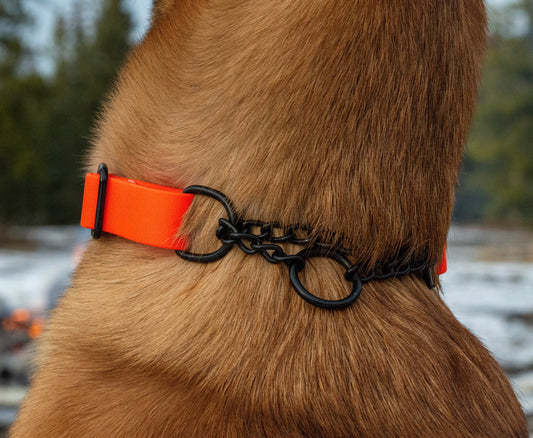 Martingale