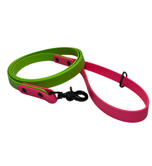 Two Tone Leash