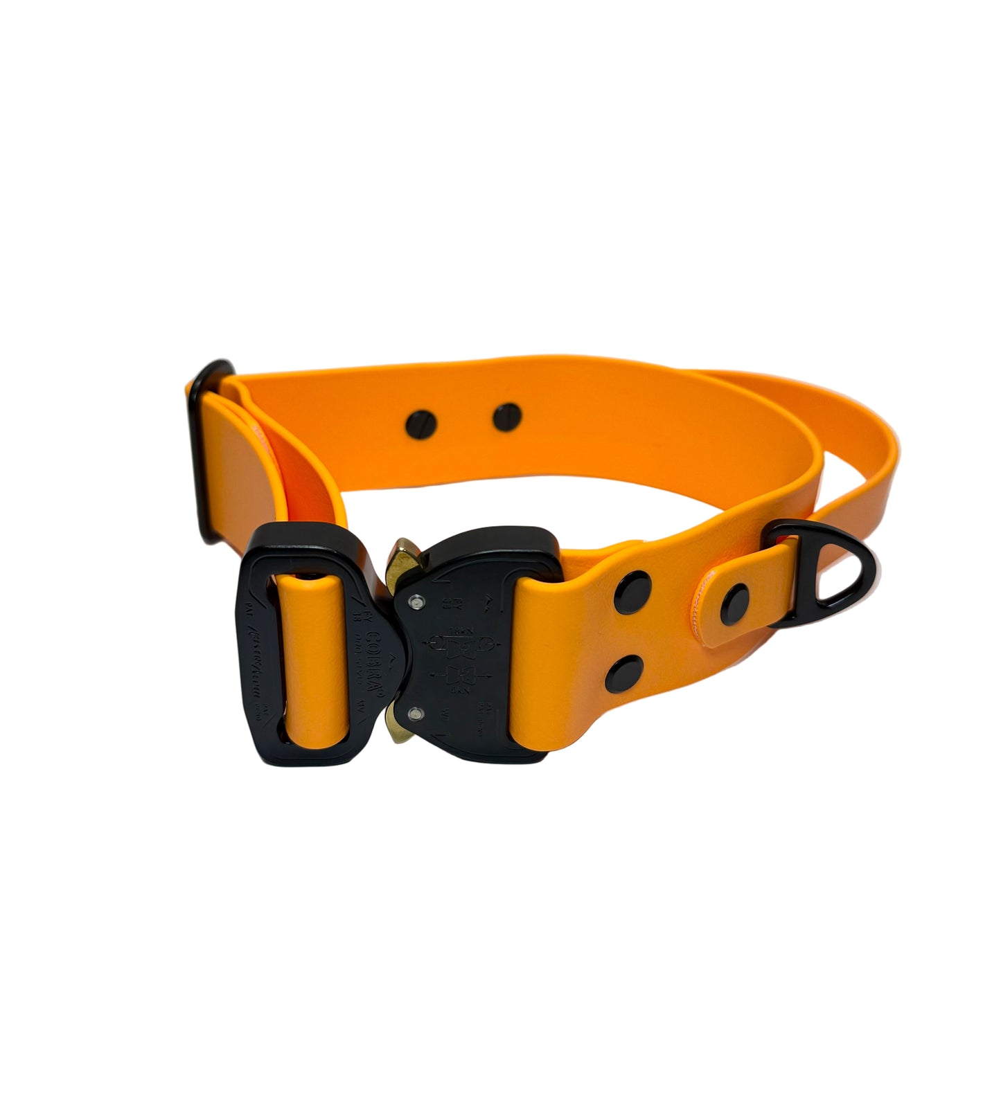 Sport Collar