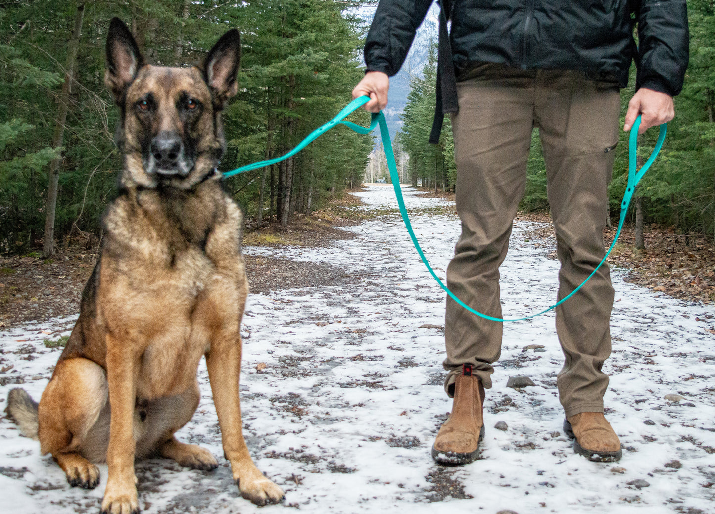 Traffic Handle Leash