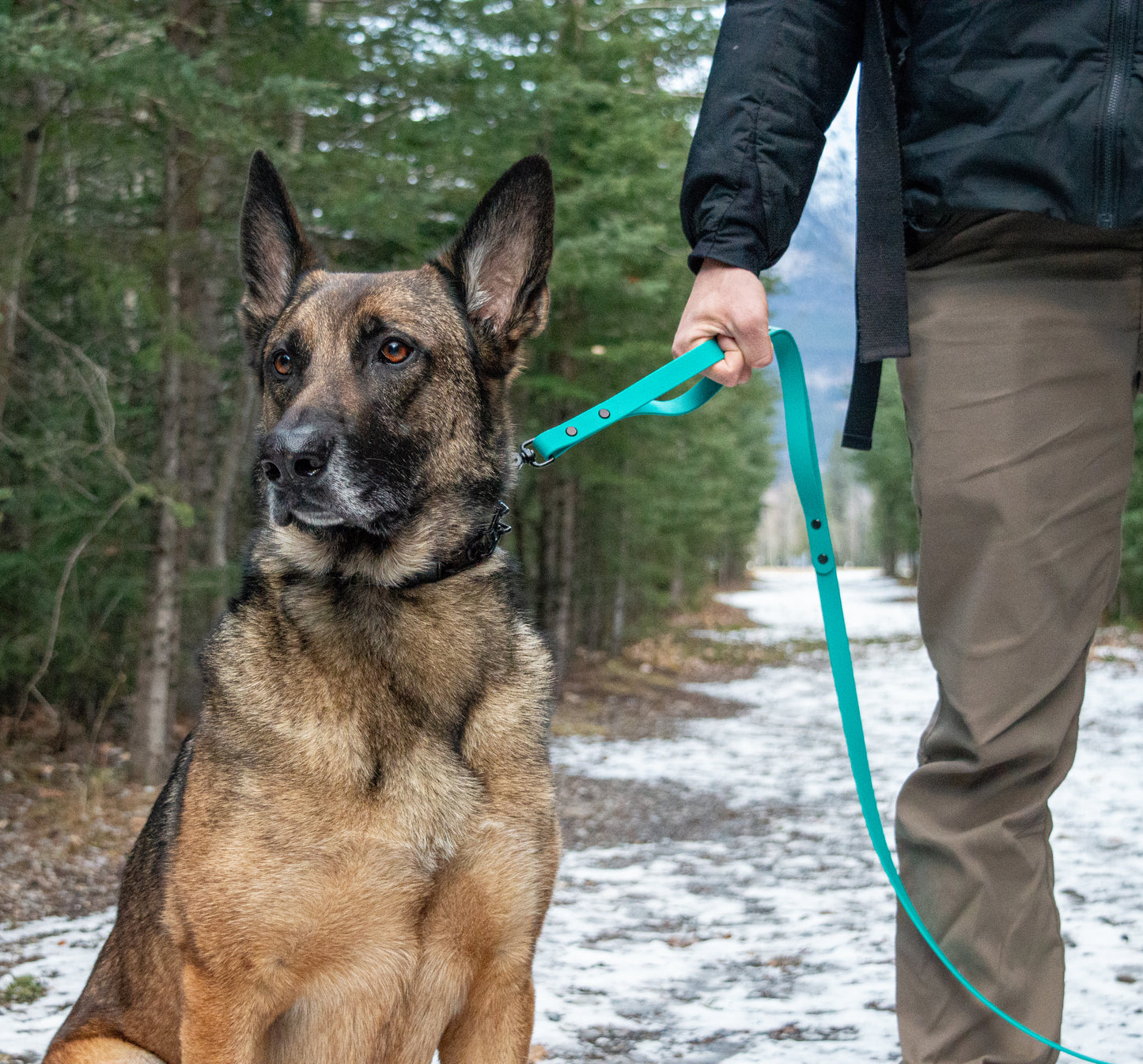 Traffic Handle Leash