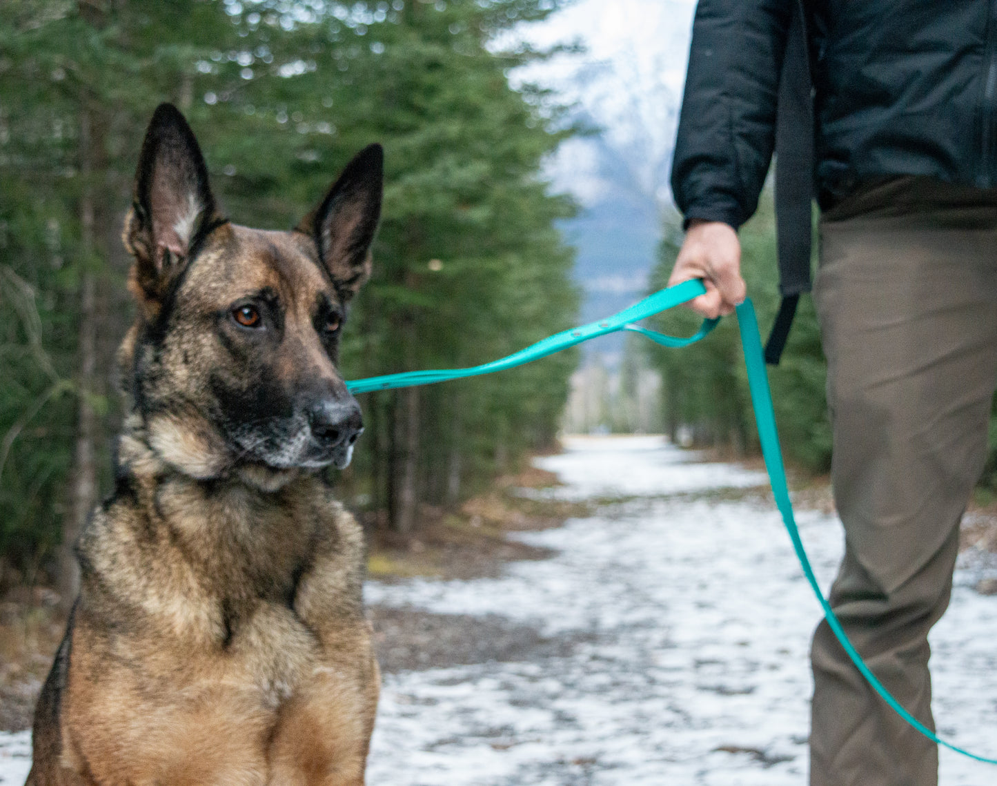 Traffic Handle Leash